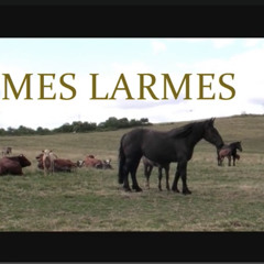 mes larmes (Jean-Luc Le Ténia)