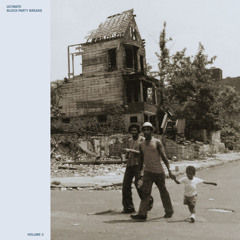 Byrds In Flight (Breakdown)