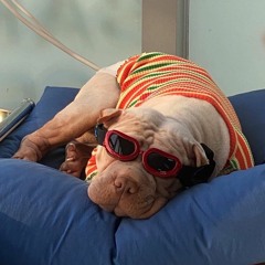Untitled playlist