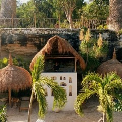 DAYDREAMING @ COZUMEL 12.08.22