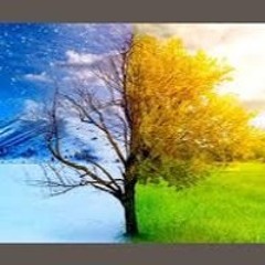 These Seasons Change