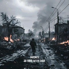 MVDNES - 28 Days after war