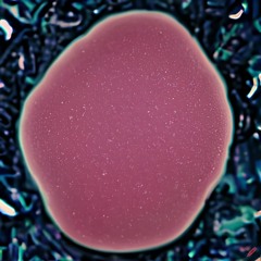 Zydrate Anatomy [Verse Cut] - Slowed+Reverb