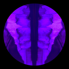 TBXX - Pointless Hope (FREE DL)