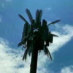 PHOTOSYNTHESIS (PROD. LONEWITCH)