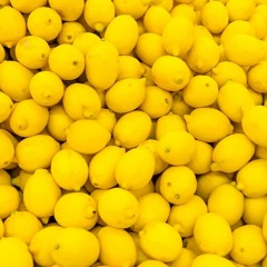 lemon squeezy