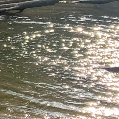 rushing water
