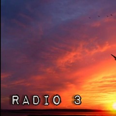 Radio 3 (Shi) - Nguyễn Đình Toàn