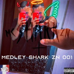 MEDLEY SHARK ZN 001 / STUDIO PARIS MG
