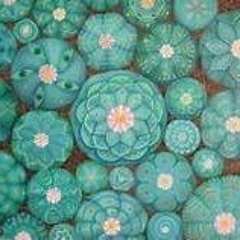 system of a down -Chop suey(hikury rmx)