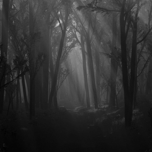 ShwartziWald - A Deep Night Set