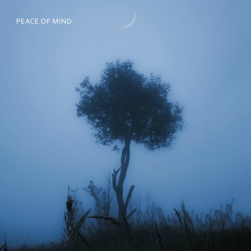 ambit. - peace of mind