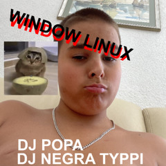 Window linux