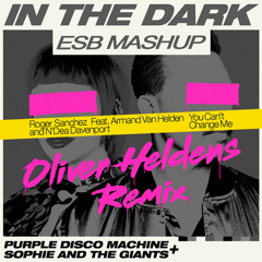 In The Dark (Oliver Heldens Remix) x You Can't Change Me (ESB Mashup)