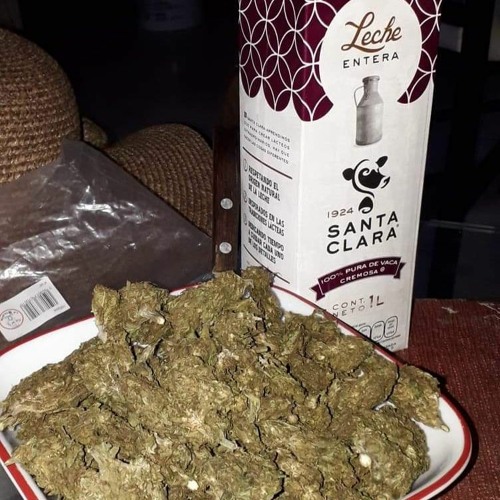 Llenando El Cuarto De Porros