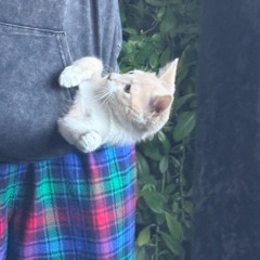 Daniel -  Waiting for you