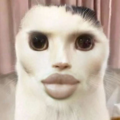 Created on 10.05.2k25
