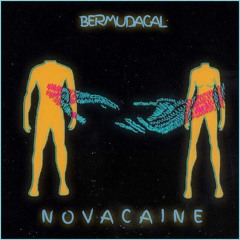 Novacaine - BermudaCal (this song is by BermudaCal!)