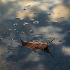 Reflections