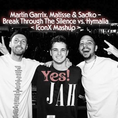 Martin Garrix, Matisse & Sadko Break Through The Hymalia < IconX Mashup >