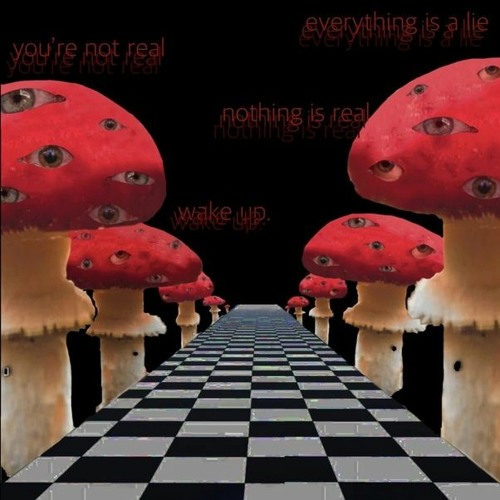 DXCTXR F - ANYONE U WANT