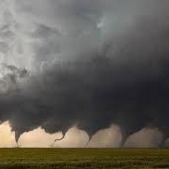 TORNADO MEAT