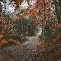 through october (demo)