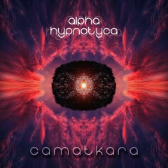 Alpha Hypnotica - Camatkara