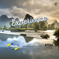 Experience