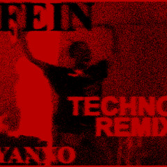 FEIN (Techno remix)