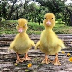 myluvr<3 prod. yungkeeta