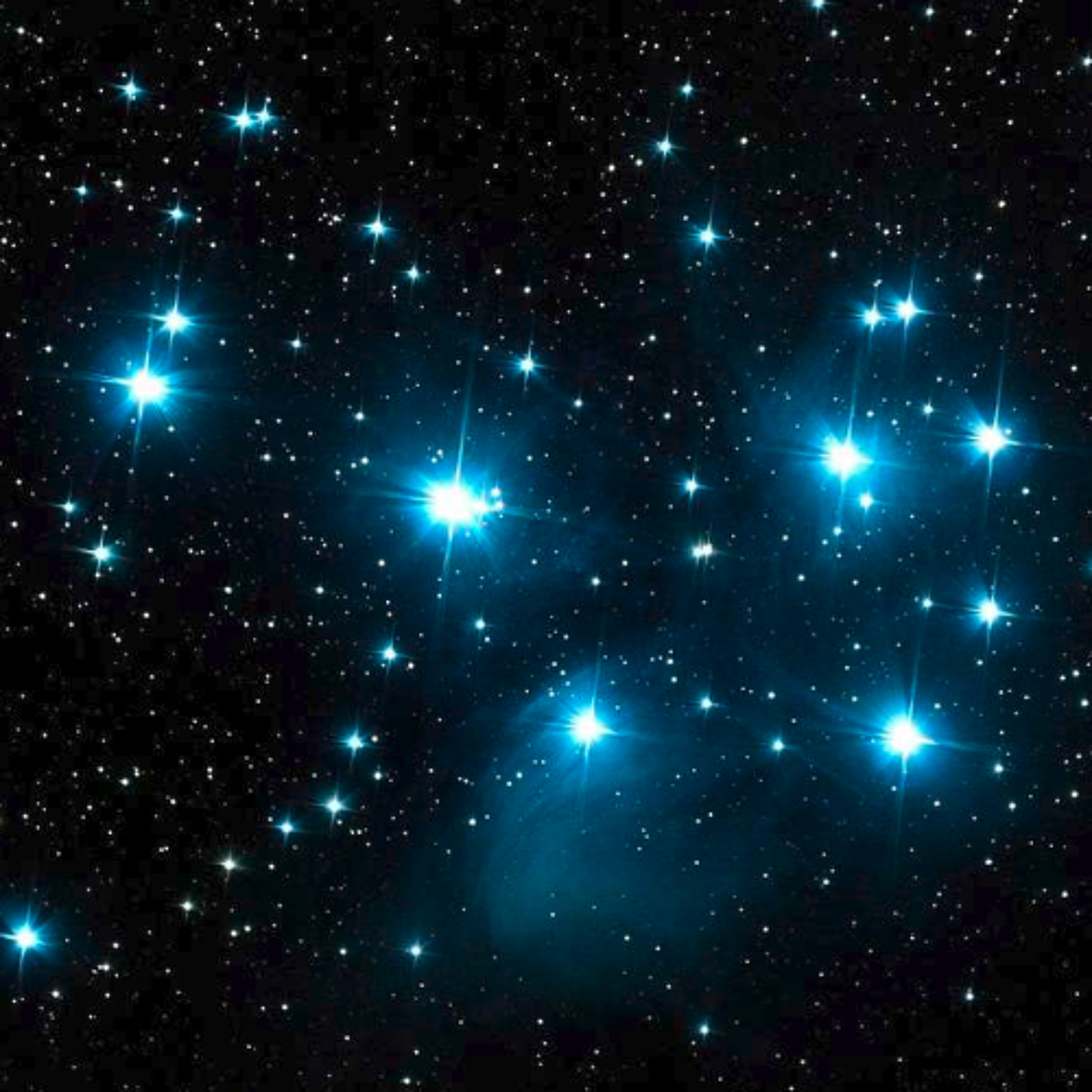 S21E13 - Les etoiles_2