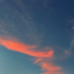 still echoes (2025) for flute, viola and harp