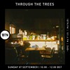 Through The Trees w Ty - 07.09.25 DJ mix artwork - Electronic music tracklist cover image
