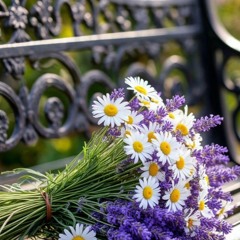 Lord_Thou_art_the_lovely_Bridegroom-Hymn 170 🌺🌱🌹 Eres nuestro Hermoso Novio-Himno 80 🌺🌸🌷