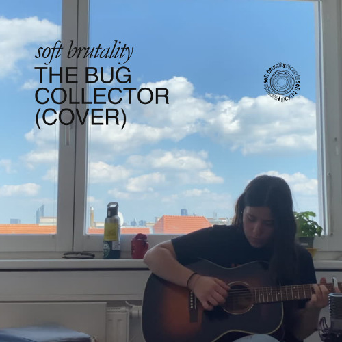 the bug collector (cover)