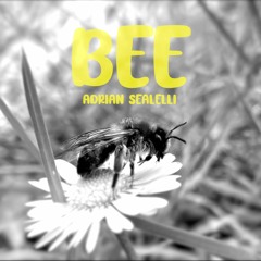 Adrian Sealelli - Bee