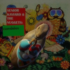 Senior Kaviaro & The Nuggets @ 20ft Radio - 29/10/2020