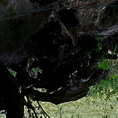 the mythos
