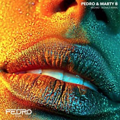 Pedro & Marty B - Signals [ Custom ]