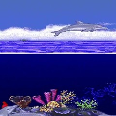 Seabed
