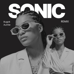 SONIC - 아아줌마 (Remix)