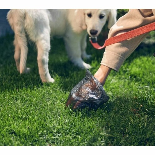 Stream The Ultimate Guide to Dog Poop Disposal Systems Keeping Your