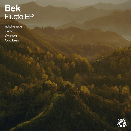 Bek - Flucto (Original Mix)