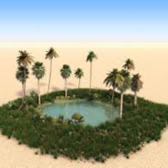 oasis