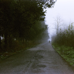 Nâgah