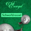 Download Video: That Escalated Slowly With Schwofdrossel