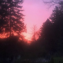 girl of my dreams (i am so thankful for you)