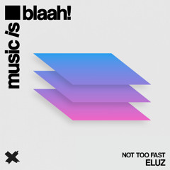 ELUZ - Not Too Fast