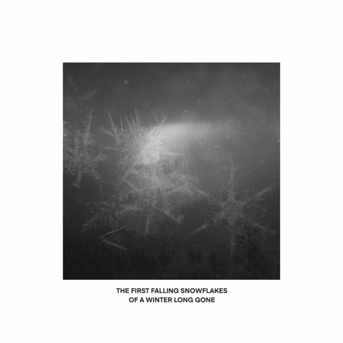 The First Falling Snowflakes Of A Winter Long Gone